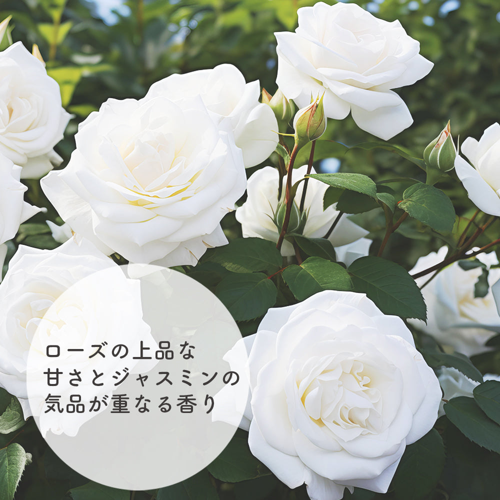 ボディオイル / ハーブオイル ローズ・ジャスミン 120ml