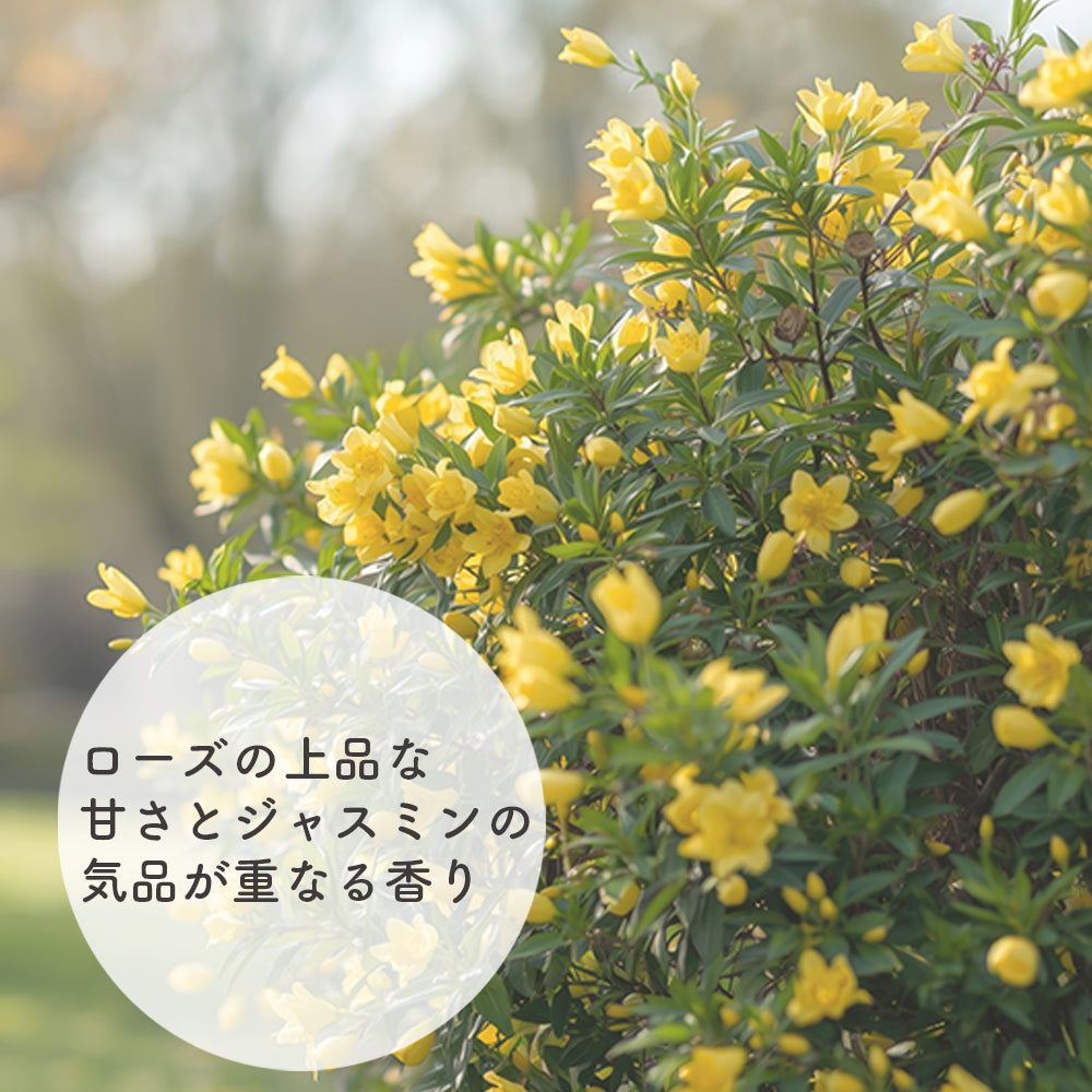 ハーブオイル ローズ・ジャスミン 120ml