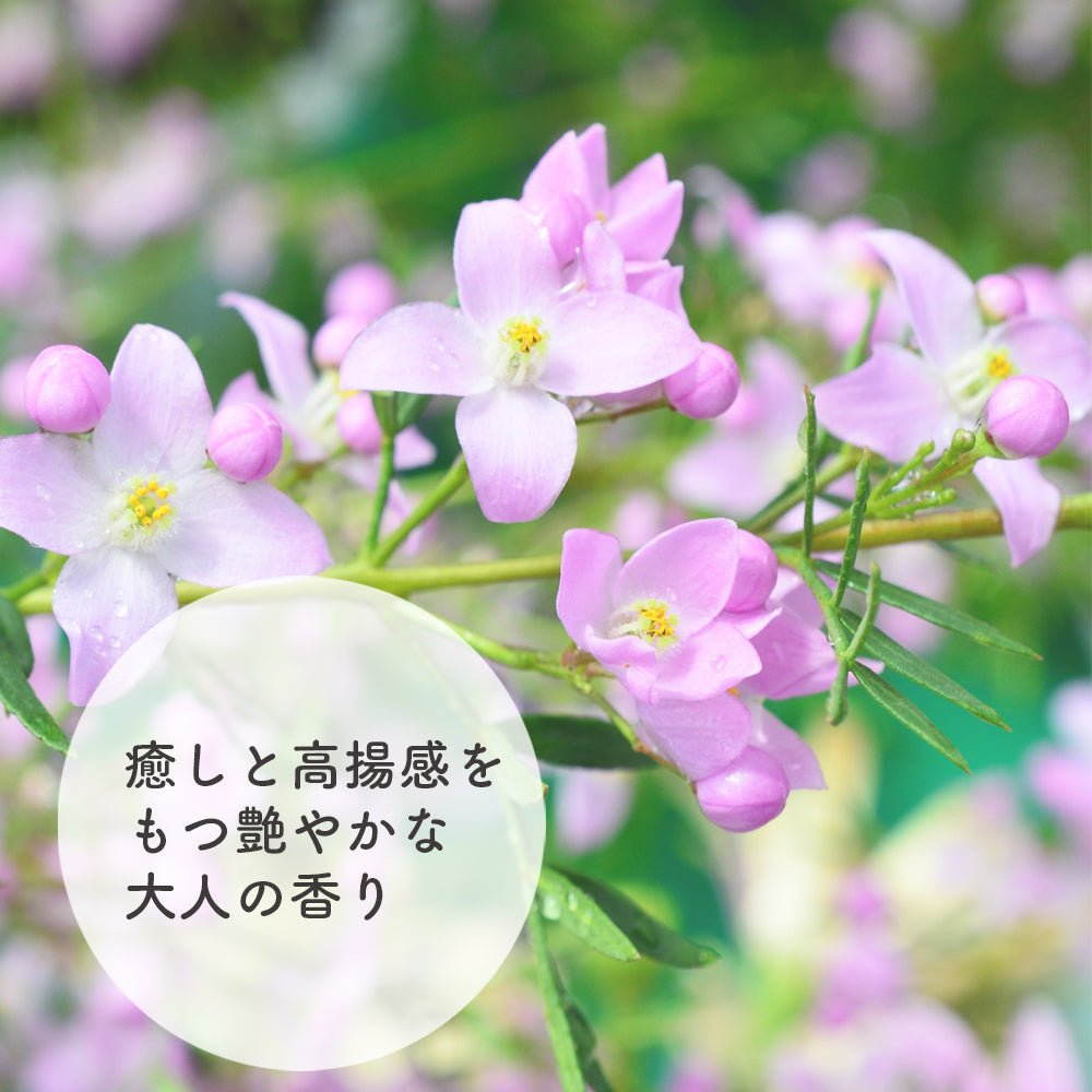 天然香水｜PERFUMARY – ソア (SOA)