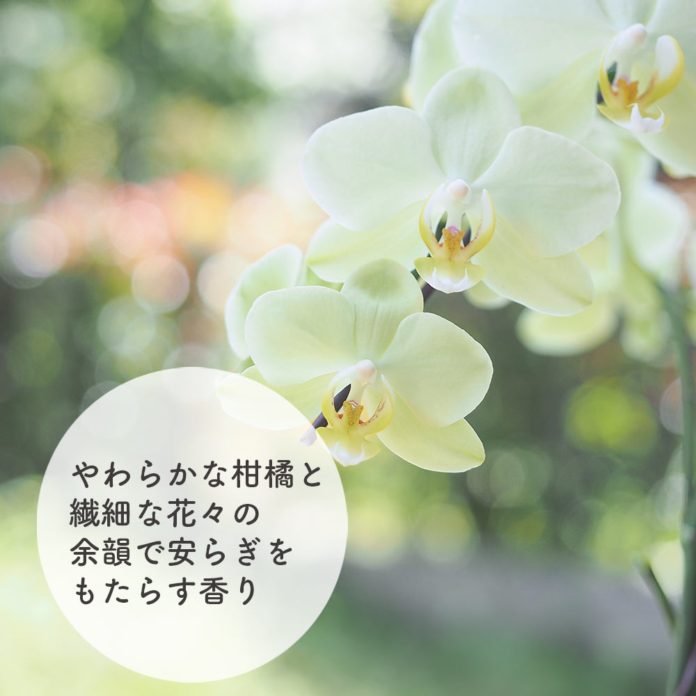 天然香水｜PERFUMARY – ソア (SOA)