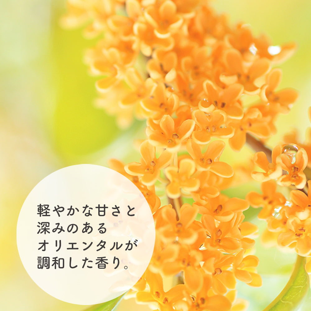 天然香水｜PERFUMARY – ソア (SOA)